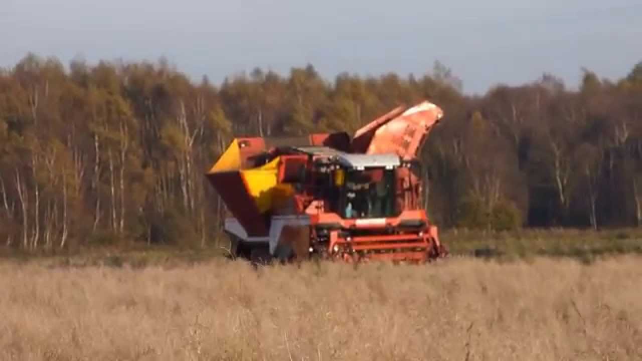 Bieten rooien met Landbouwbedrijf Mandemaker & Loonbedrijf Pomper