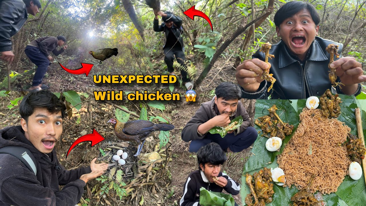 Wild Chicken Surprise in the Jungle 😱 | जंगलमा अचानक बन कुखुरा 🐔🌿