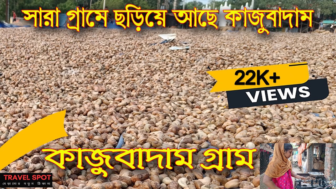 সারা গ্রামের ছড়িয়ে আছে কাজুবাদাম। Cashew nuts  Factory Medinipur,West Bengal