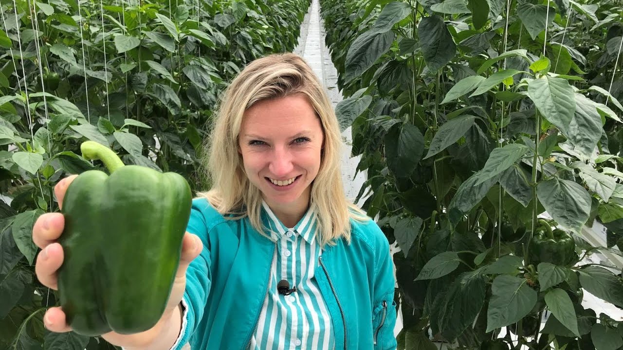 UIT met Esther 5 april 2018 - Kom in de Kas
