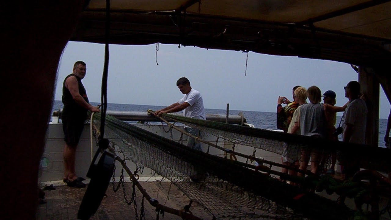 Výlov ryb rybářskou lodí - Chorvatsko 2005
