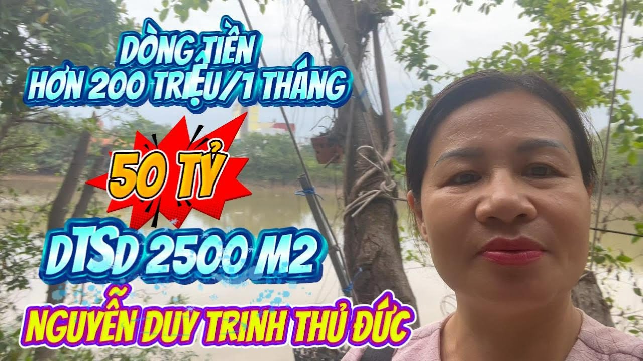 Sở hữu 2500m2 đất đường Nguyễn Duy Trinh Thủ Đức có ngay dòng tiền hơn 200 triệu/1 tháng#tuyetnhapho