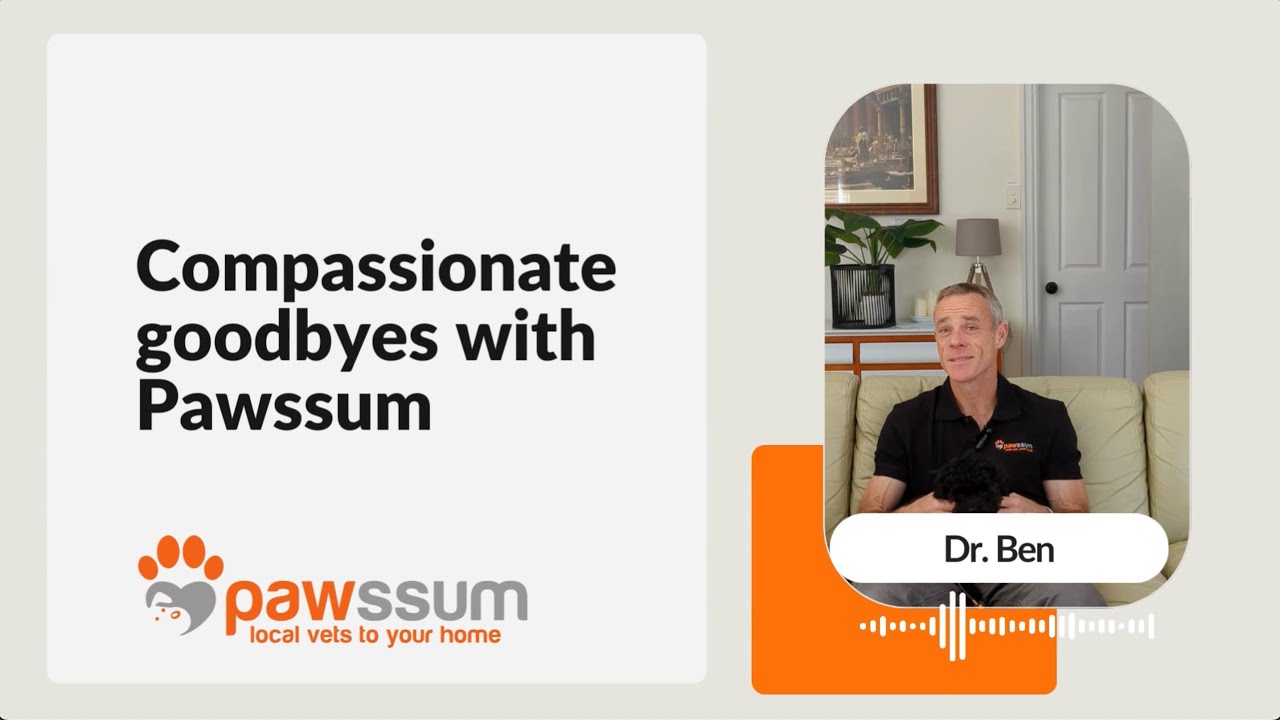 Compassionate End-of-Life Care for Pets with Dr. Ben | Pawssum