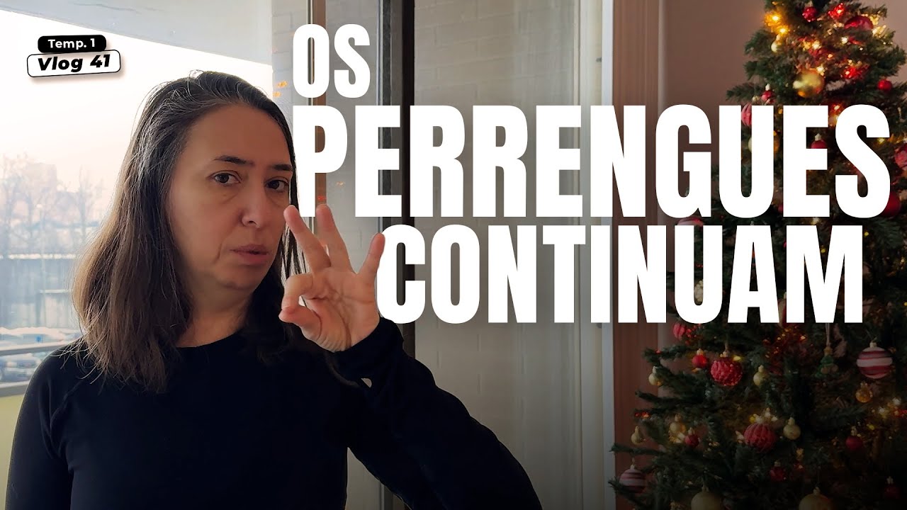 Tivemos que mudar por causa do inverno! T1Vlog41