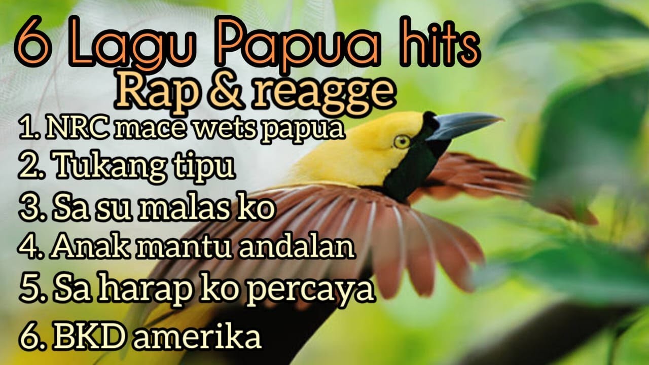 6 lagu papua hits. rap dan reagge.  terbaik. reagge papua. NRC,