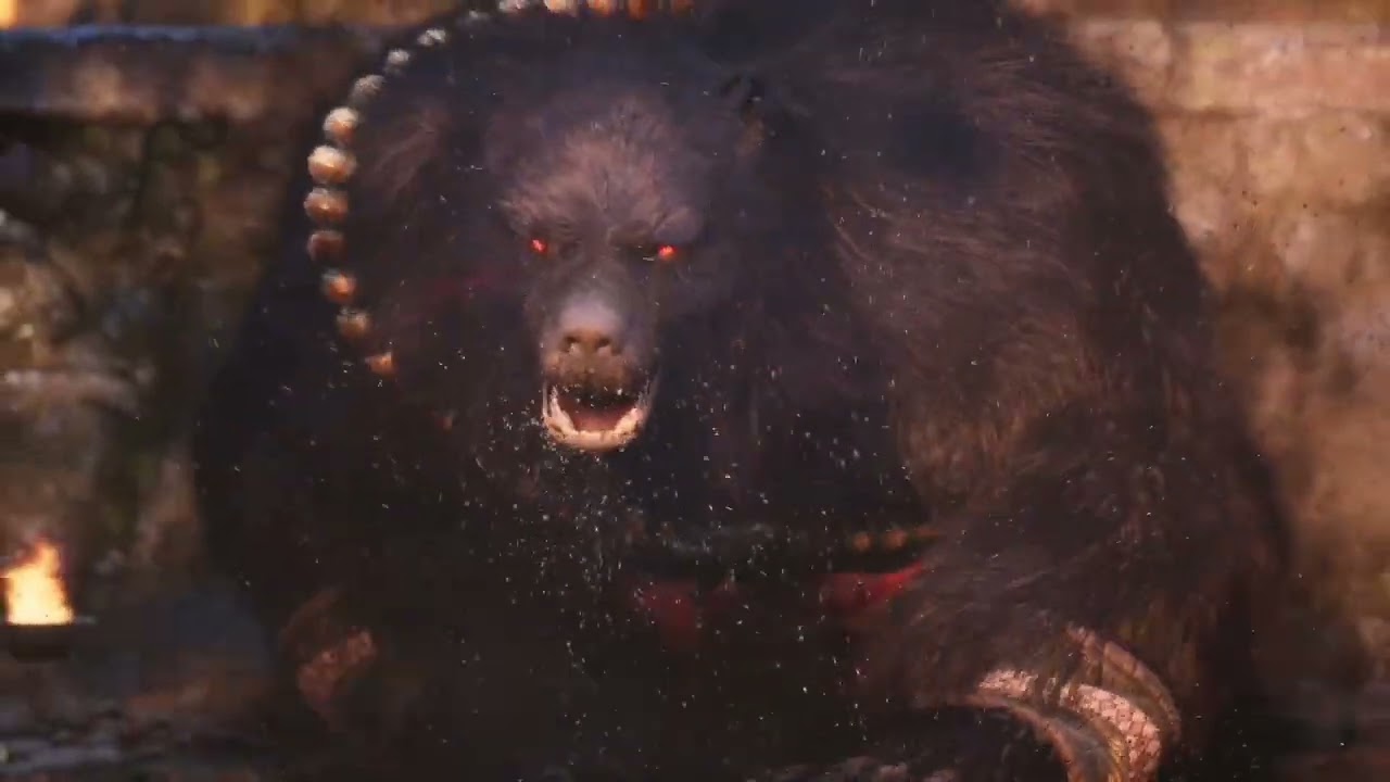 14 de fevereiro de 2026