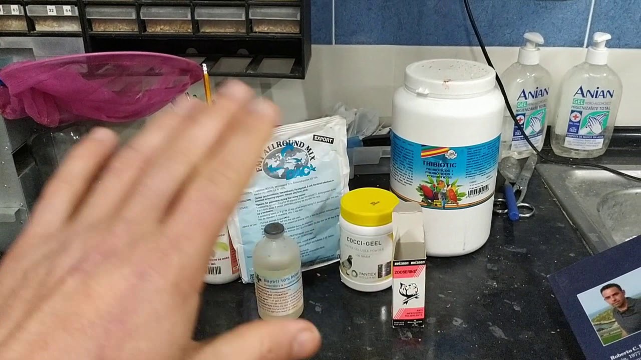 TRATAMIENTO PRE-CRIA MEGA BACTERIAS Y RECOMENDACIONES (2/3)