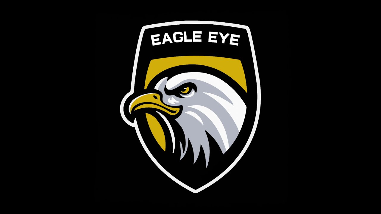 EAGLE EYE THE REAL STORIES