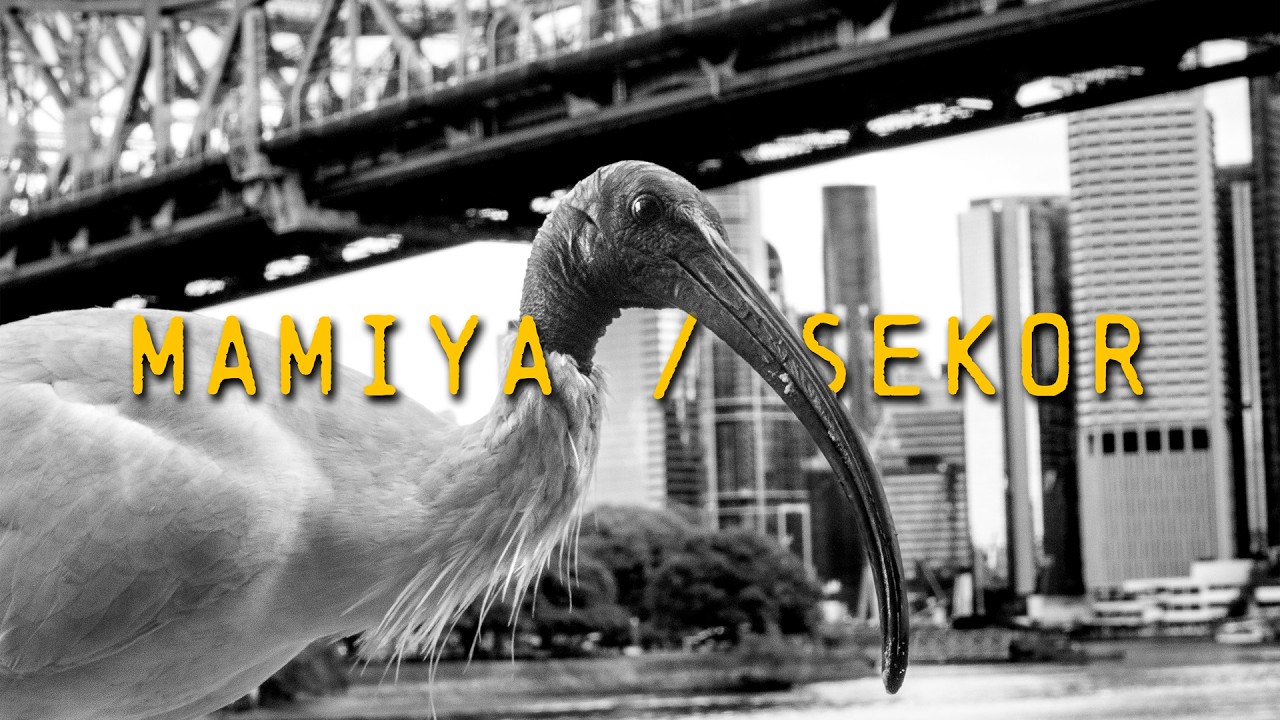 Адаптация объектива Mamiya за 3 фунта стерлингов к Lumix S5 | Австралийская дорожная фотография