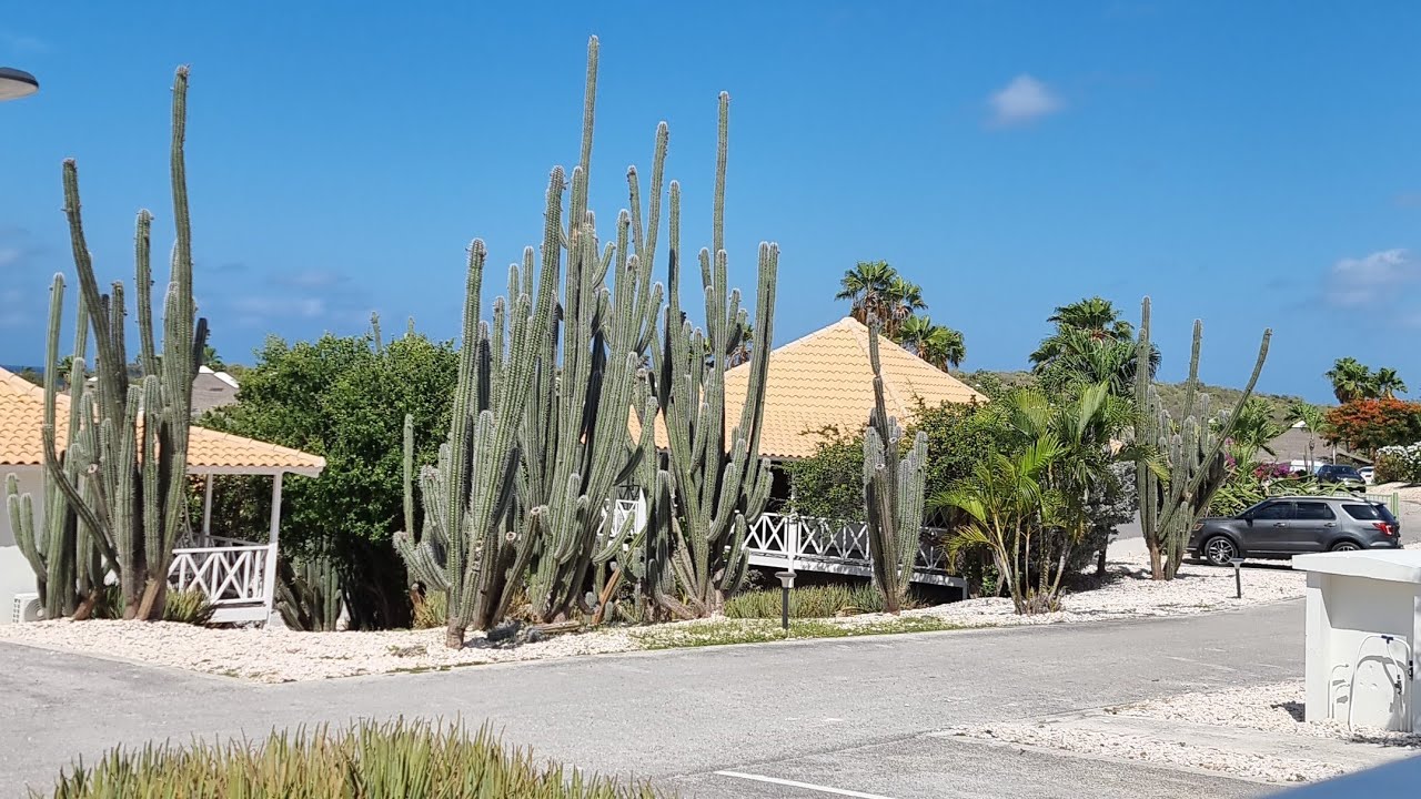Onze 1ste Dag op Curacao [Veronique Dutchie]