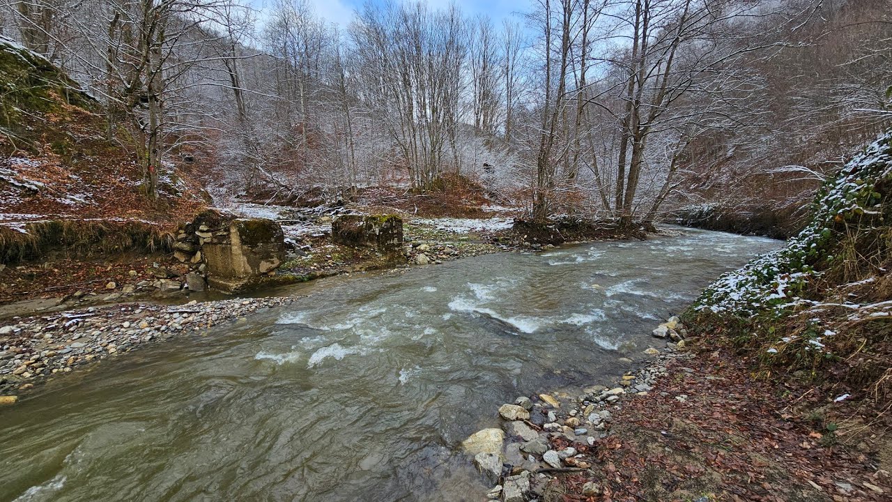 Aici urșii fugeau după trenuri. Pe urmele căii ferate din Munții dacilor