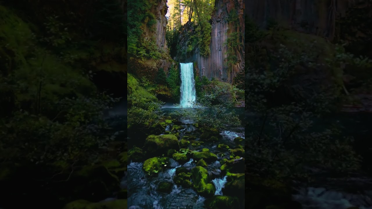 #nature #waterfall #naturelovers  #tranding #shorts #dronevideo #beauty #beautiful #waterfallbeauty