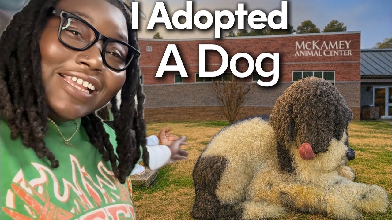 Сегодня я спас собаку… Знакомьтесь, мой новый малыш 🐶❤️