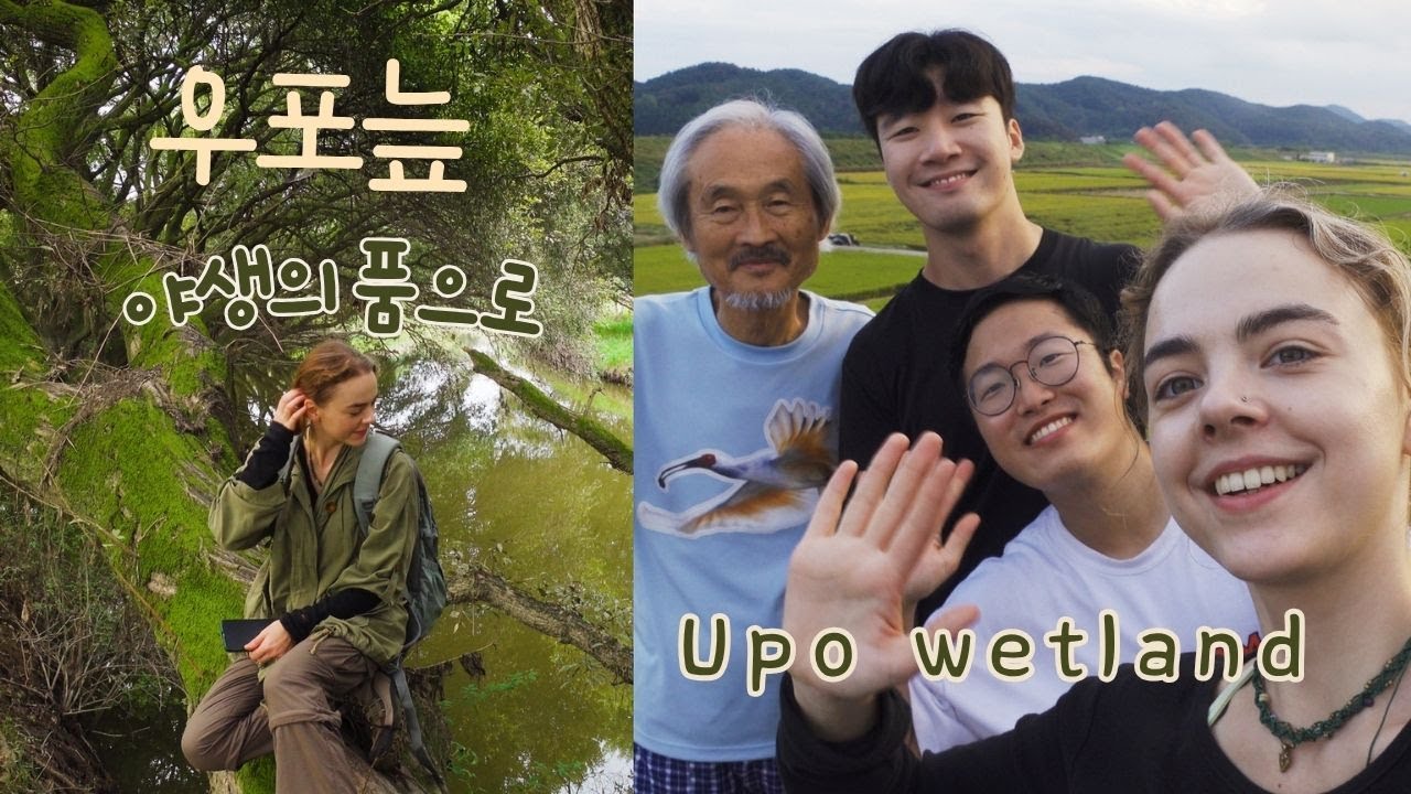 우포늪의 수호자에게 배운 자연의 지혜 🌿🦋 한국 늪지 생태탐방