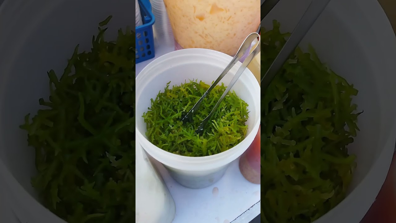 Street Foods in Philippines