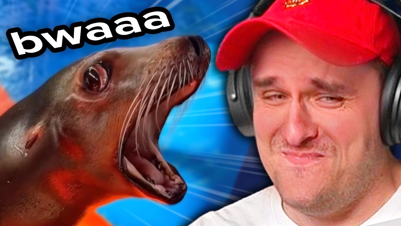 If I Laugh, I Lose, So NO LAUGHING!