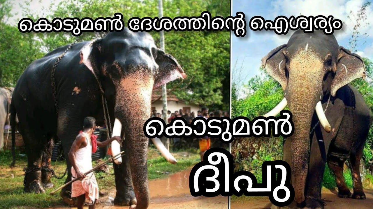 കൊടുമൺ ദീപു Story | Kodumon Deepu Story