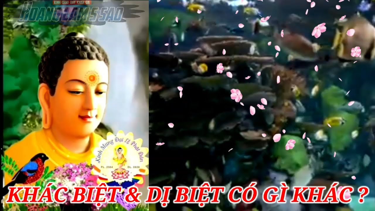 🌍 CỬU ÂM HUYỀN KÝ THỜI ĐẠI 4.0 🙏 TẬP 07 🙏 KHÁC BIỆT & DỊ BIỆT CÓ GÌ KHÁC ? HOANG LAM 5 SAO TV