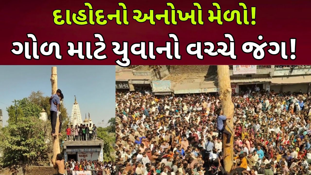 JESAWADA નો ગોળ ગધેડાનો મેળો:યુવતીઓ સોટી મારે,યુવકો ગોળ માટે ચડે! | Dahod Tribal Fair l #dahodlive