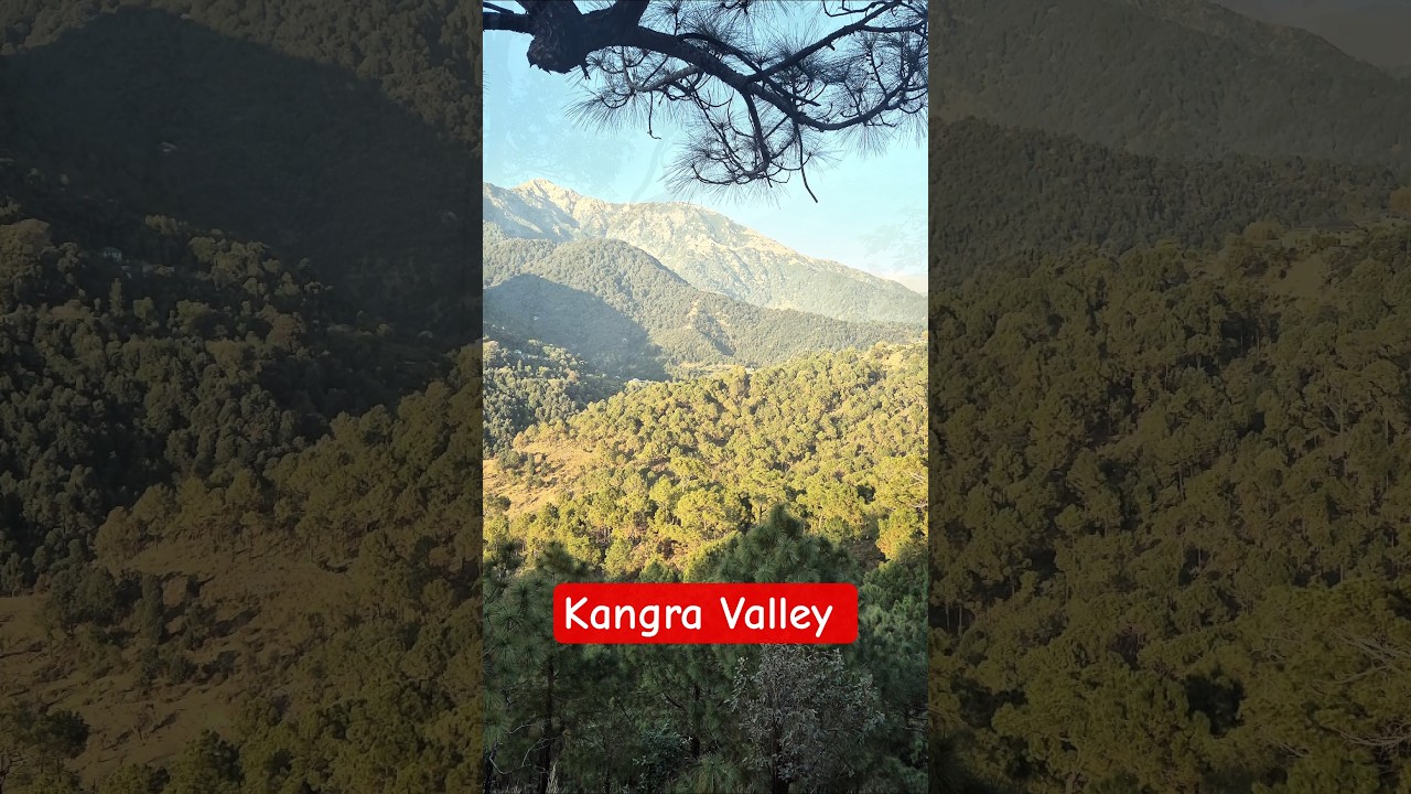 Beauty of Kangra Valley (H.P.)   #nature #naturelovers #naturesounds #naturephotography