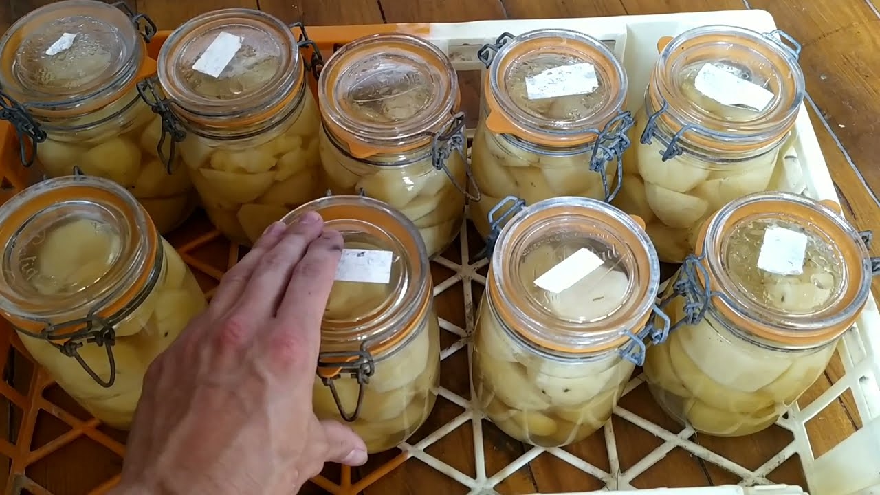 Recette ultra-facile : Bocaux de Pommes de Terre - R&eacute;duire les Pertes