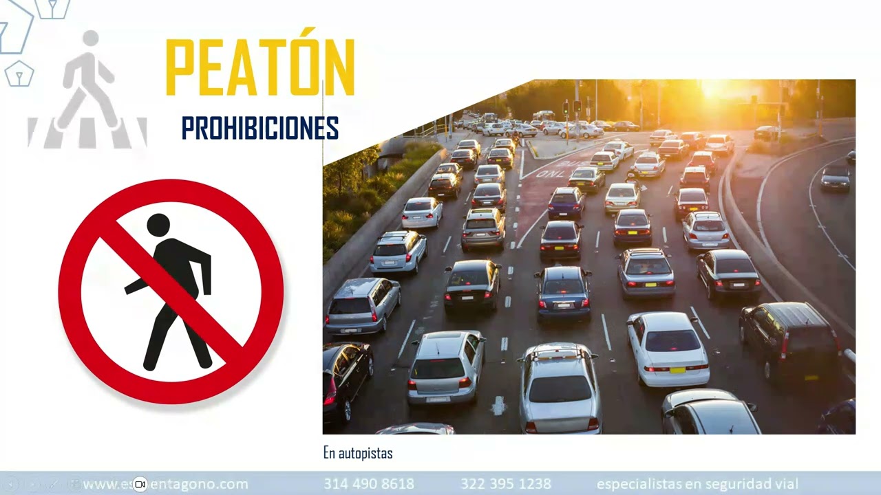 SEGURIDAD VIAL EN EL PEATON