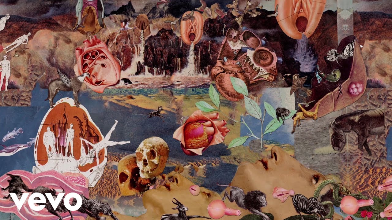 Rulo - P&aacute;jaro Vagabundo