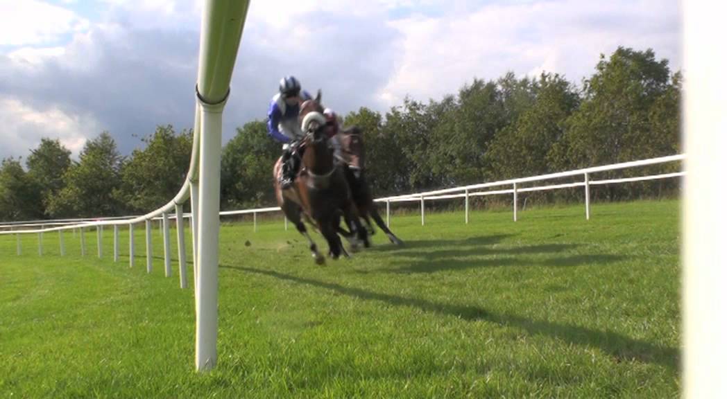 Racing Explained - How to Pick a Winner