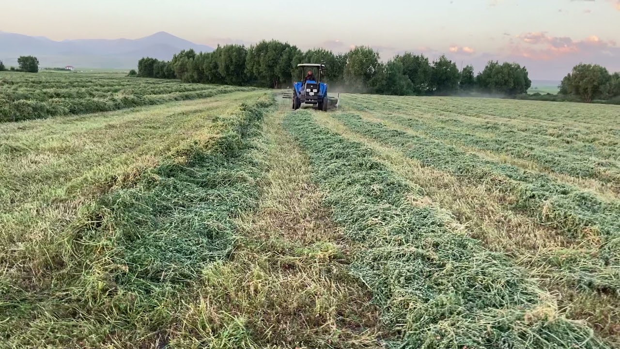 Helikopter Ot toplama makinesi Özsel Yatağanlı