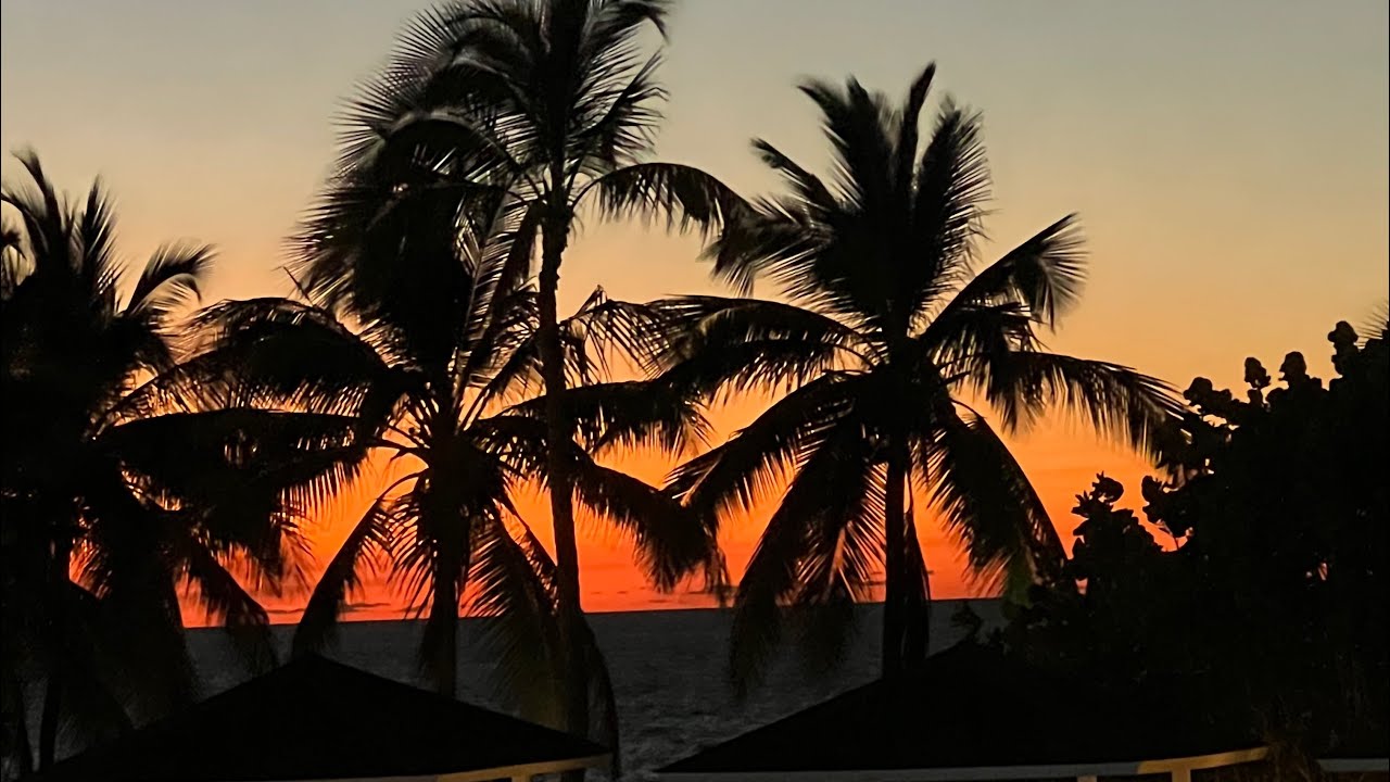 Melia Las America Varadero Walkthrough April 10 2024