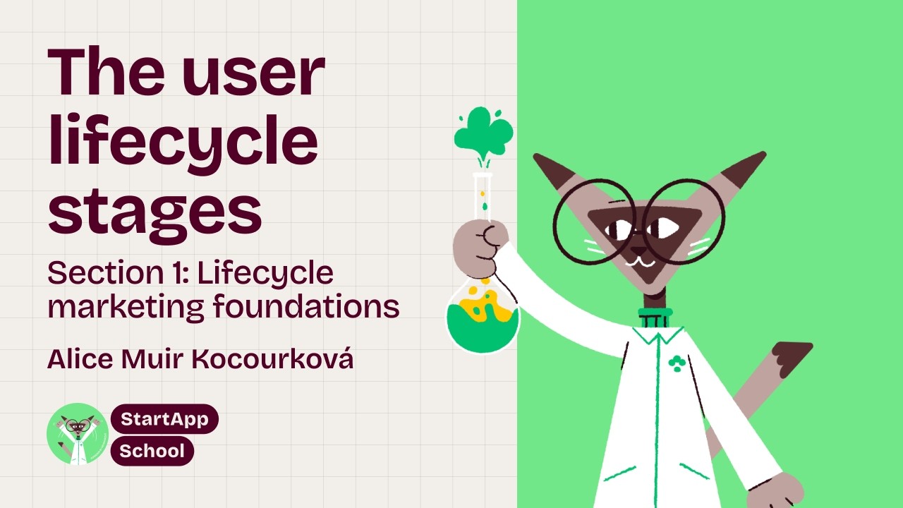 The user lifecycle stages (section 1)