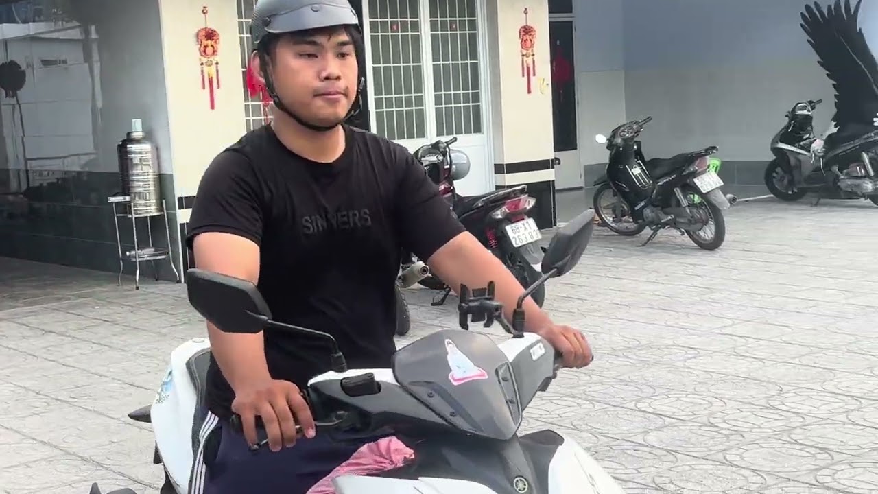 Thả rùa hạnh phúc vô tận 