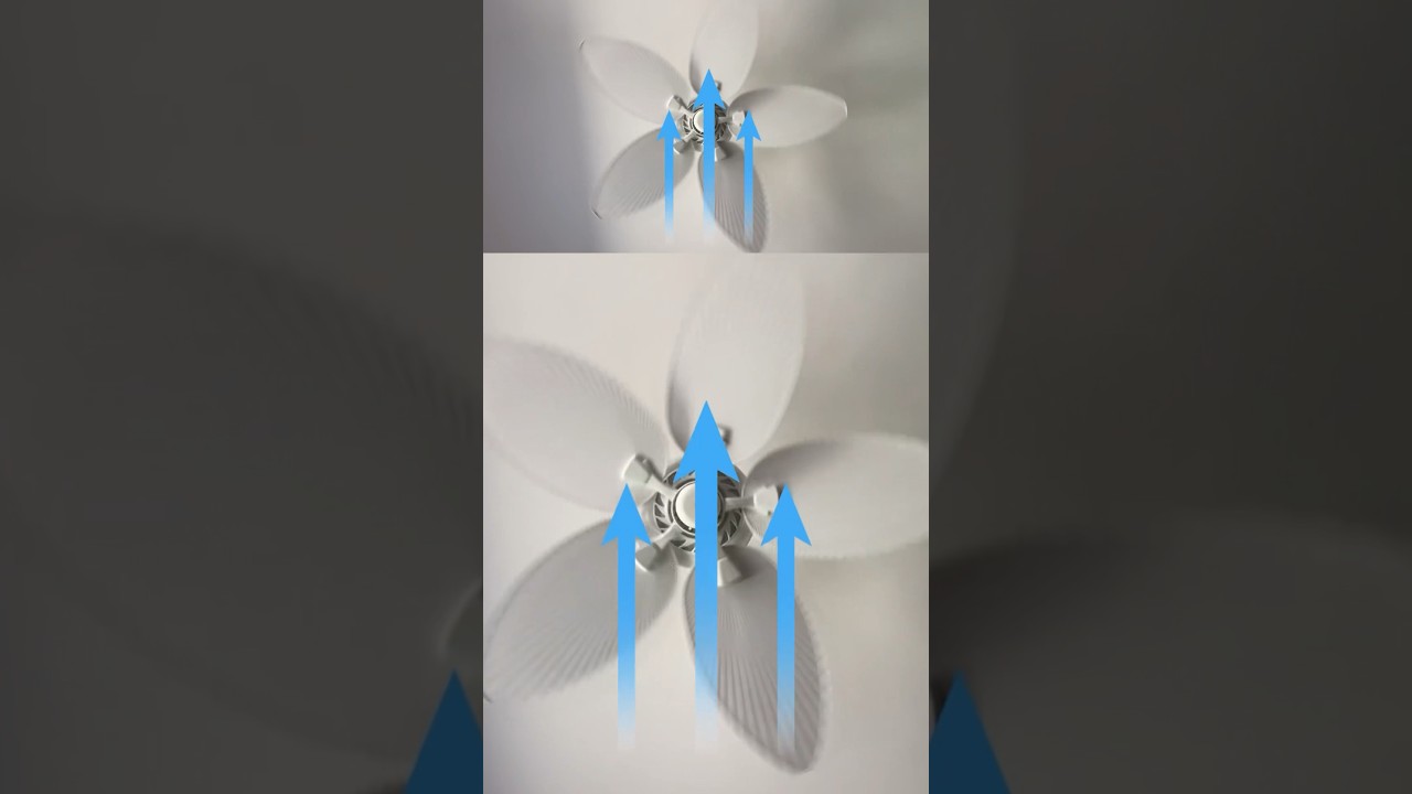 Which way should you switch your ceiling fan in the summer?