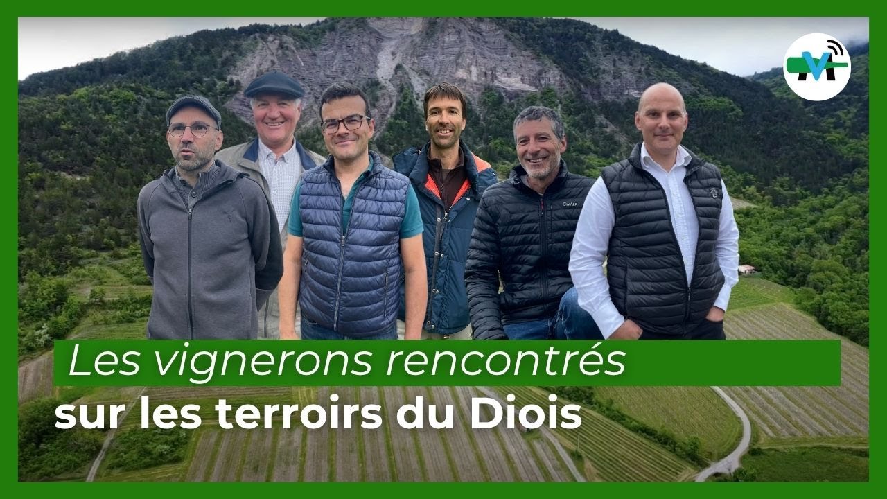 Le Diois : les vignerons que nous avons rencontrés en juin sur Médiavino