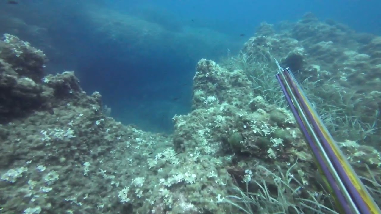 sortie p&ecirc;che sous marine avec un statoroller 100 bois et un statoroller 80 bois