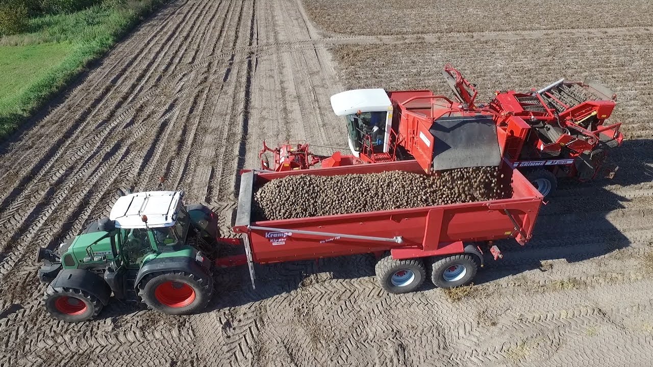 Aardappels rooien met Grimme SF150-60