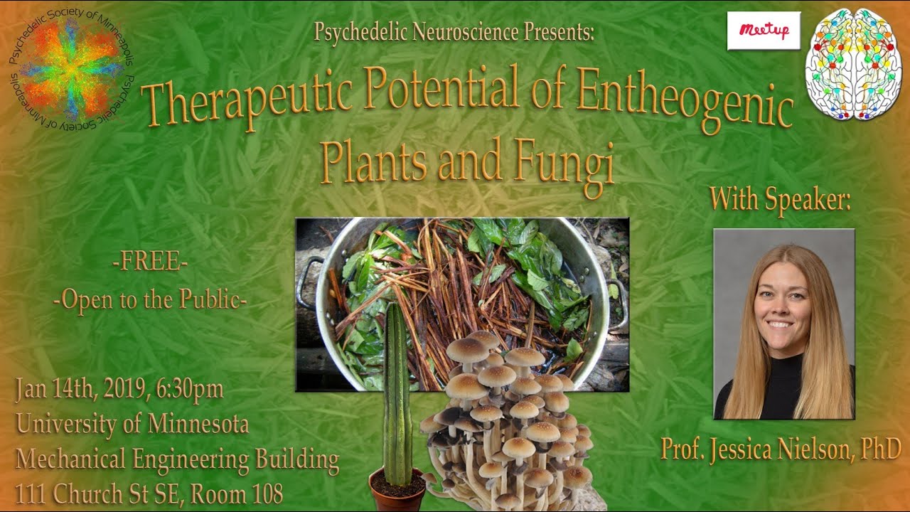 Therapeutic potential of entheogenic plants and fungi