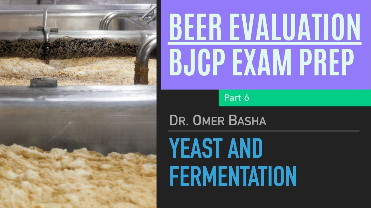 BJCP Beer Exam Prep Course - 6 - Yeast and Fermentation