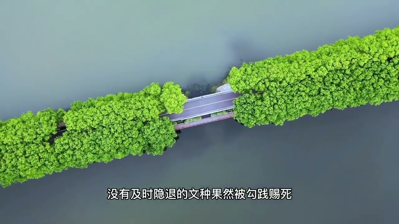 无锡旅游全攻略，鼋头渚夜樱，灵山大佛拈花湾