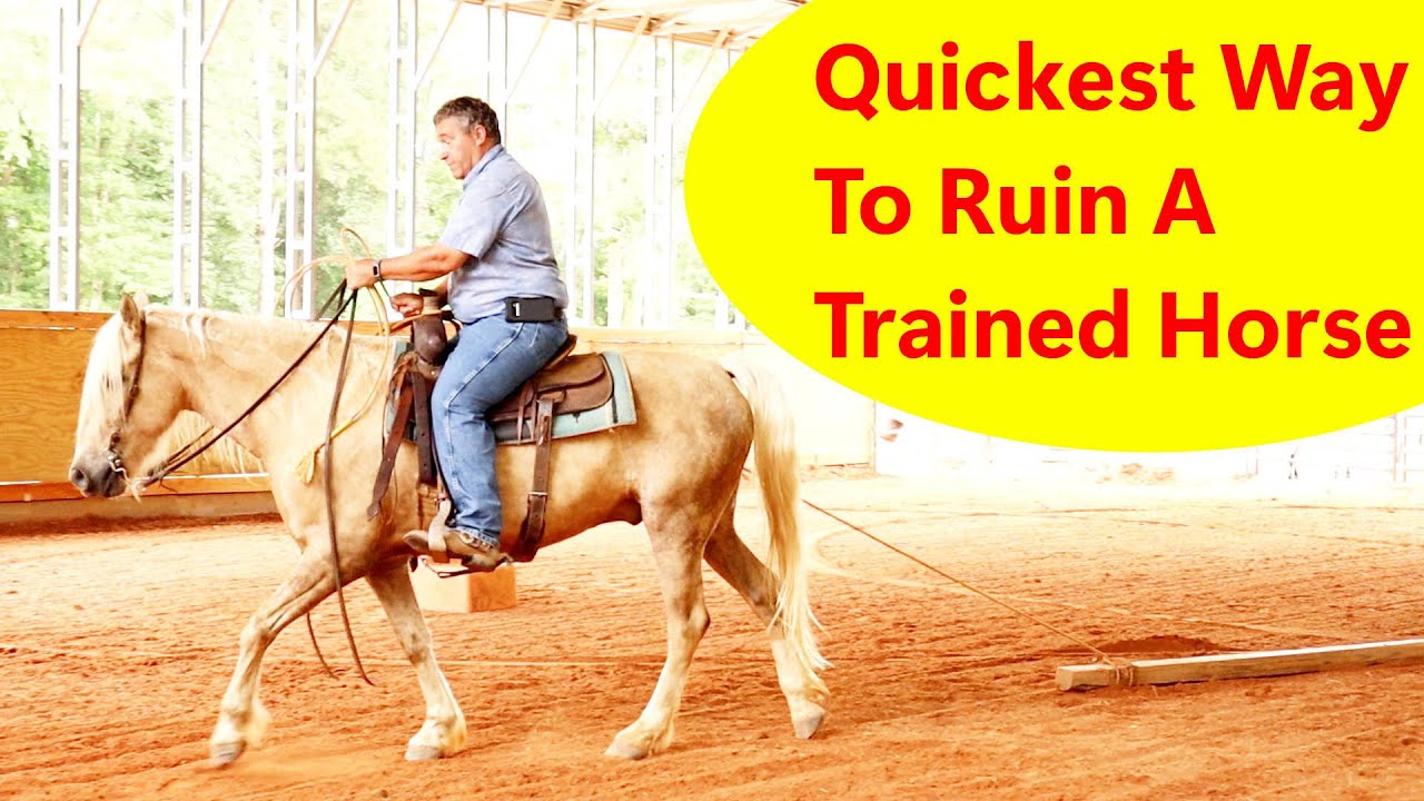 I see people do this all of the time!