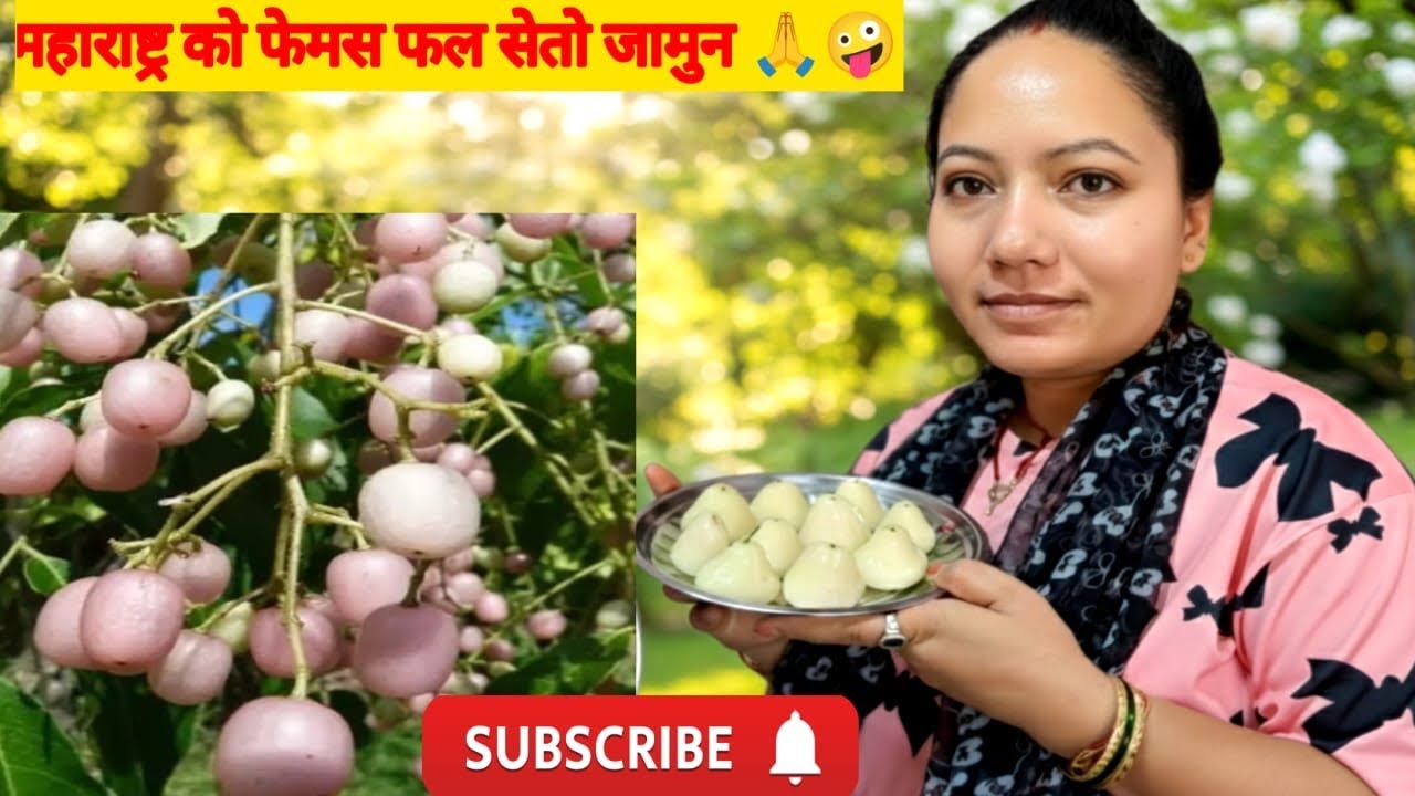 महाराष्ट्र को फेमस फल सेतो जामुन 🙏🤪