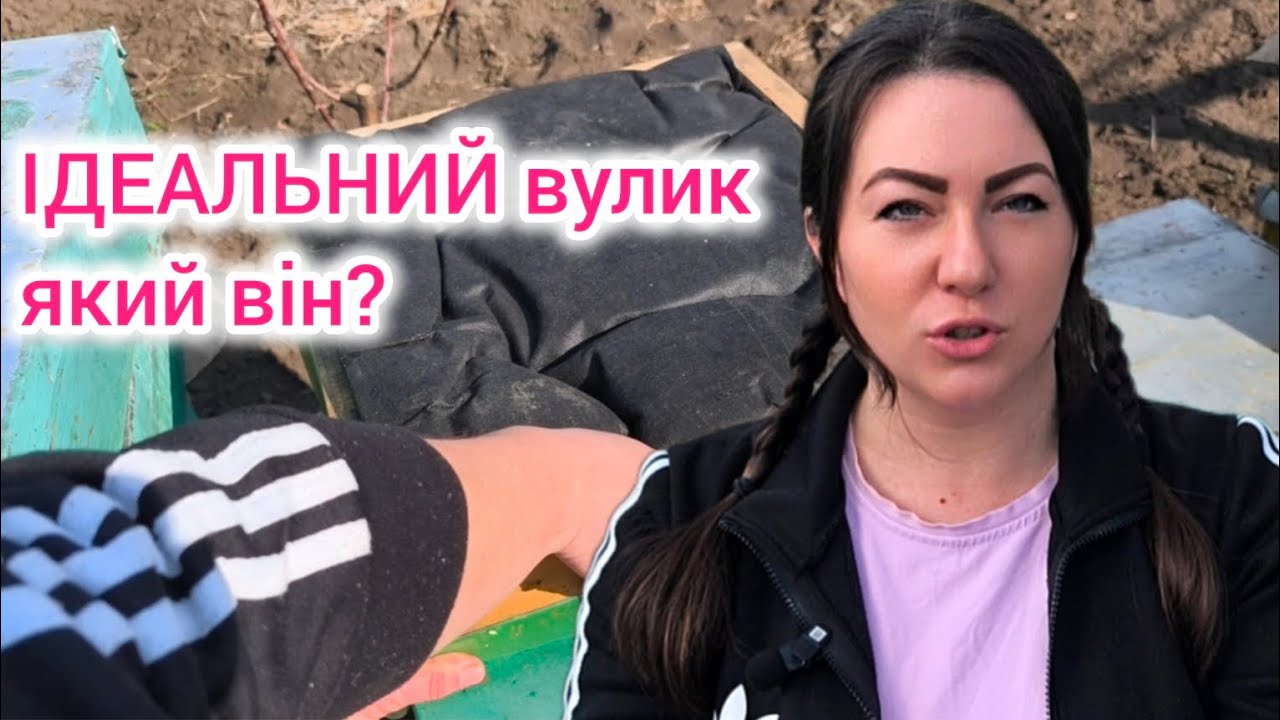Практичний вулик на всі випадки, огляд та розміри. Як врятувати слабкі сім'ї