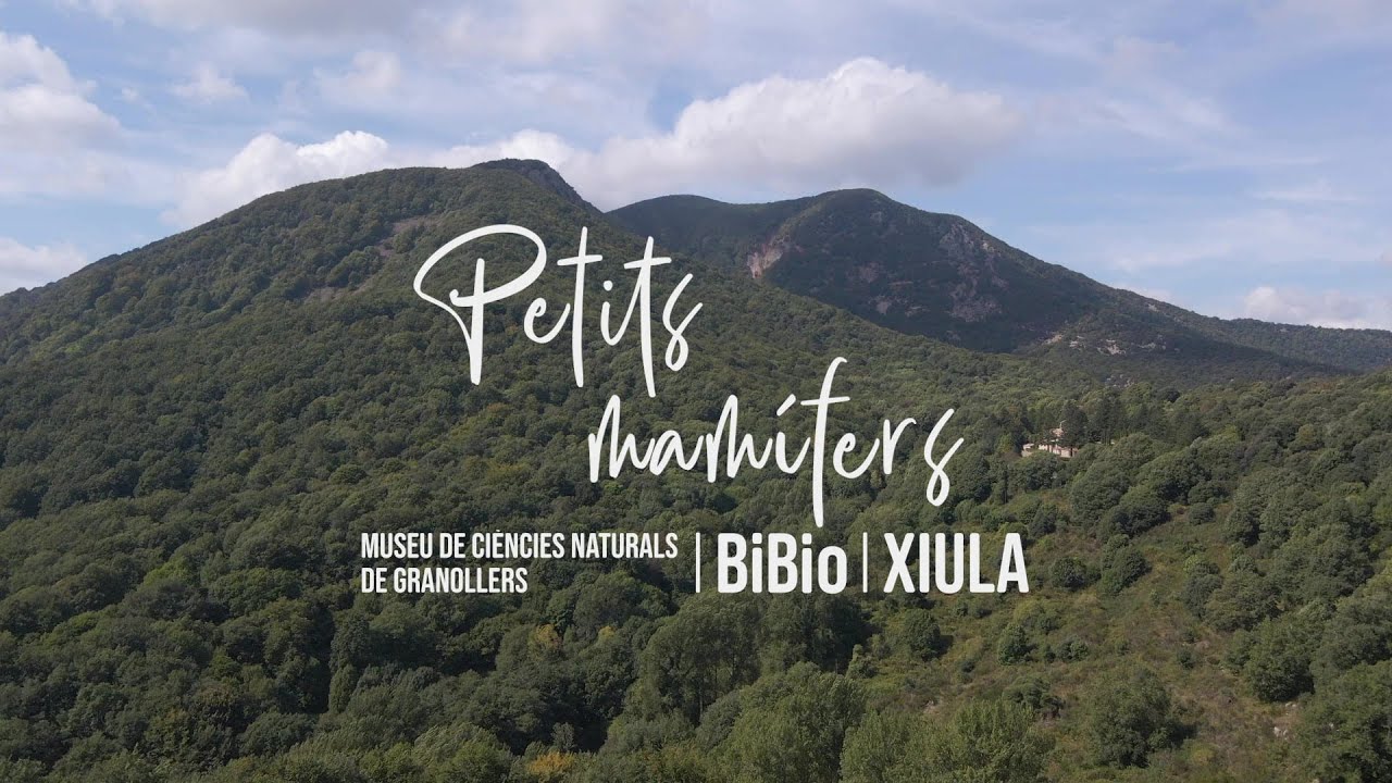 PETITS MAMÍFERS - Cançons per la biodiversitat (sub. CAT)