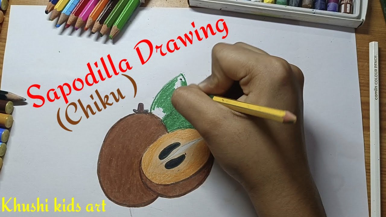 How to draw sapodilla fruit | Chiku drawing | Sapodilla drawing for kids
