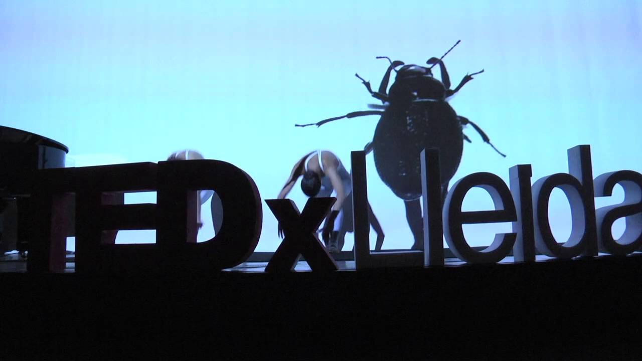 Insectum | David Pradas | TEDxLleida