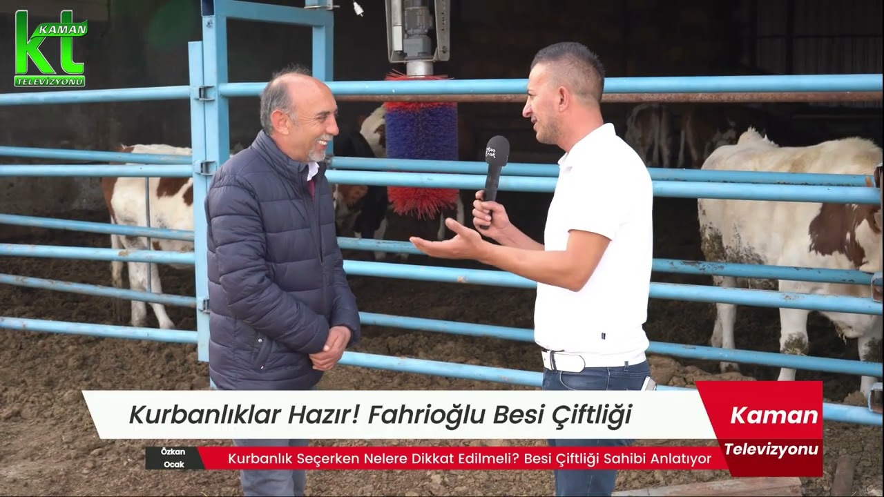 Kurbanlık Seçimi ve Fiyatlar | Besi Çiftliği Röportajı (2025 Güncel)