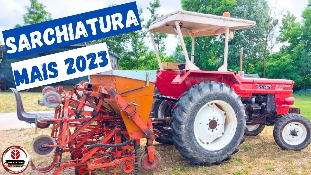 Intero processo di Sarchiatura del Mais | Fiat 500 & sarchiatore 6 file | Agricoltura che passione