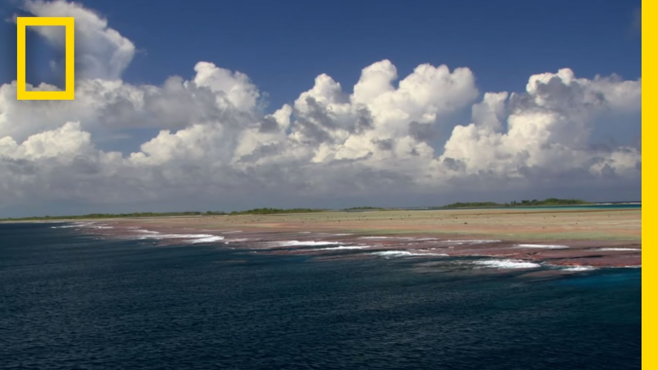 Pristine Seas Efforts Inspire Protection of Untouched Reefs | National Geographic
