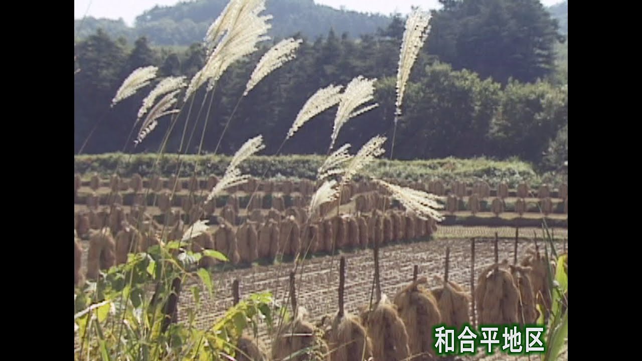 山形 「昔の朝日町の映像を見よう」
