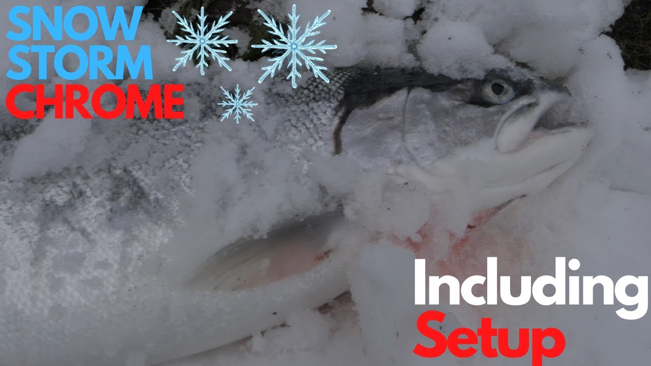 Plunking For WINTER STEELHEAD In The SNOW | Including HOW-TO |